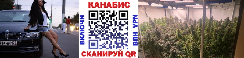 Наркота Ярославль Кодеин Гашиш Кокаин